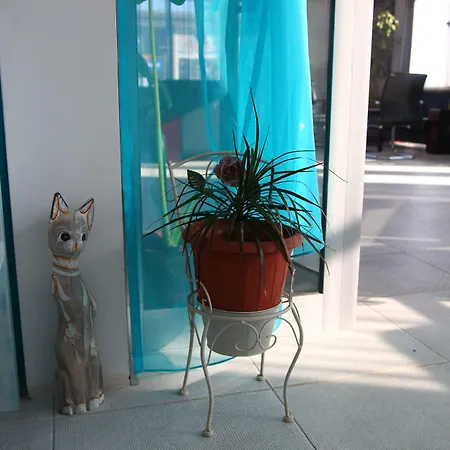 Hotel City 2* Burgaz