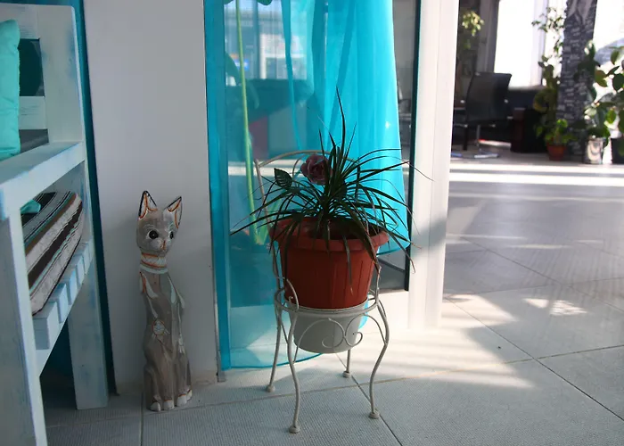 Hotel City 2* בורגאס