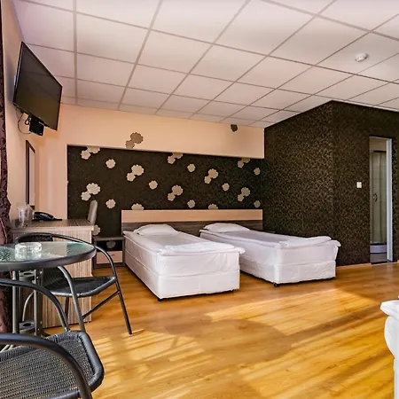 Hotel City Hotel